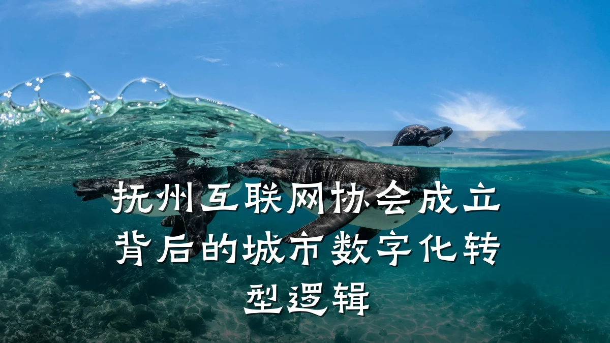 抚州互联网协会成立背后的城市数字化转型逻辑