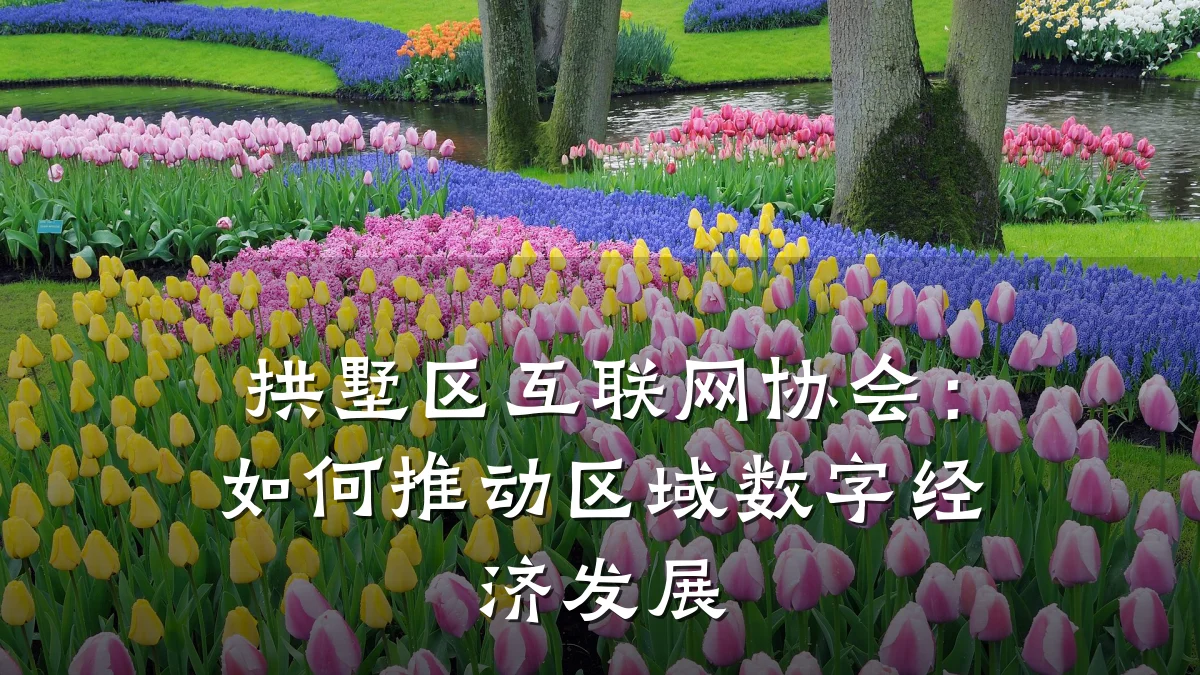 拱墅区互联网协会:如何推动区域数字经济发展
