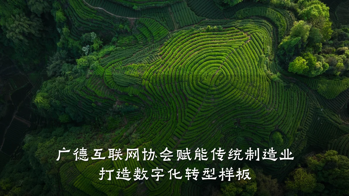 广德互联网协会赋能传统制造业 打造数字化转型样板