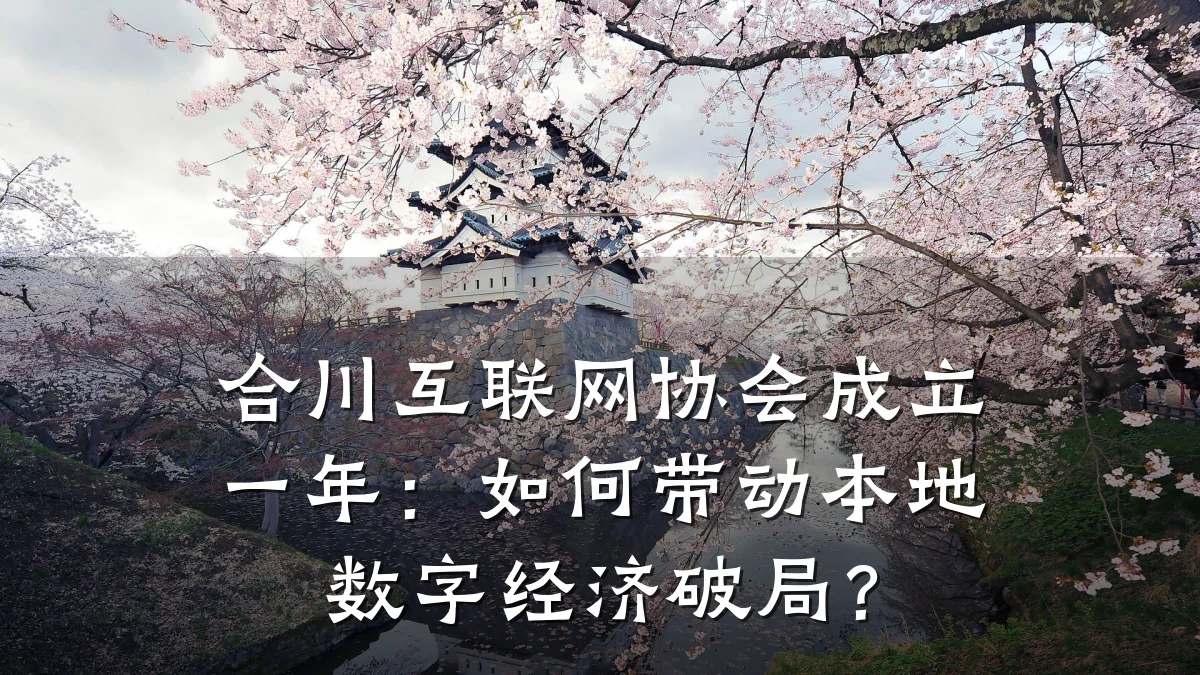 合川互联网协会成立一年:如何带动本地数字经济破局?