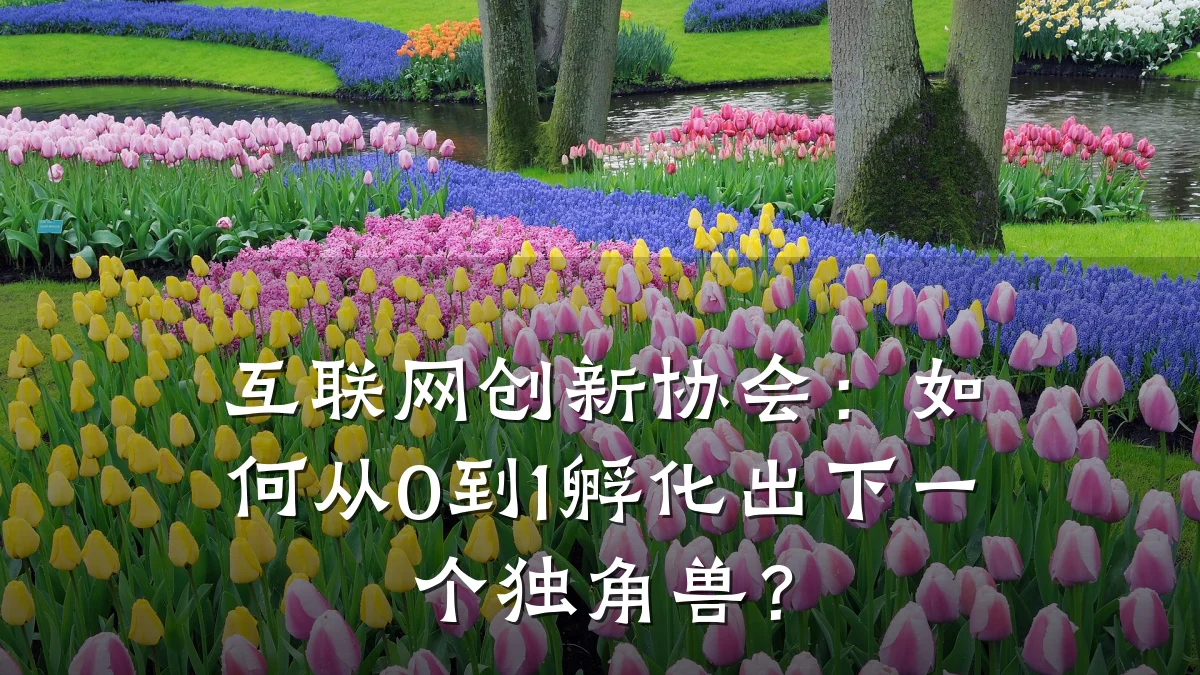 互联网创新协会:如何从0到1孵化出下一个独角兽?