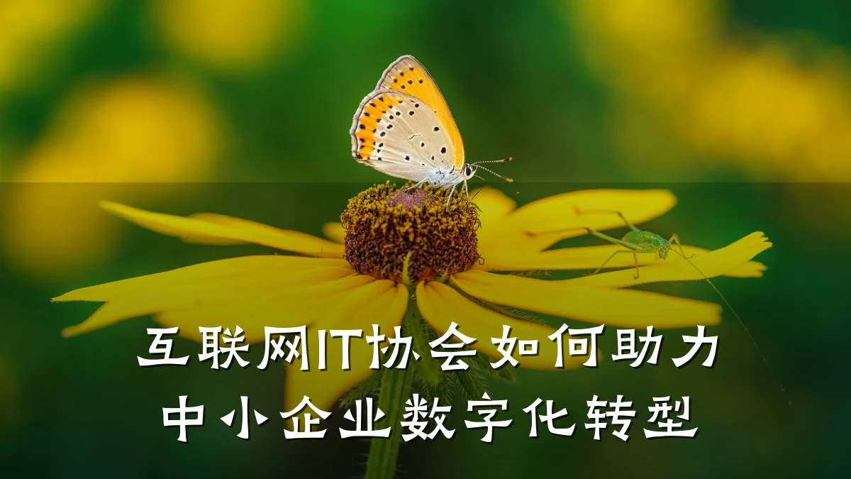 互联网IT协会如何助力中小企业数字化转型