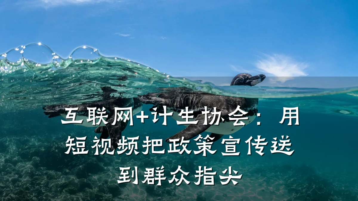 互联网+计生协会：用短视频把政策宣传送到群众指尖