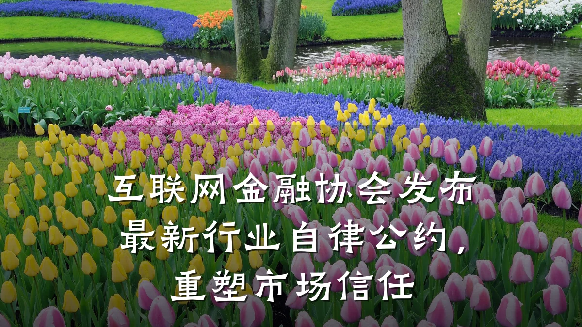 互联网金融协会发布最新行业自律公约，重塑市场信任