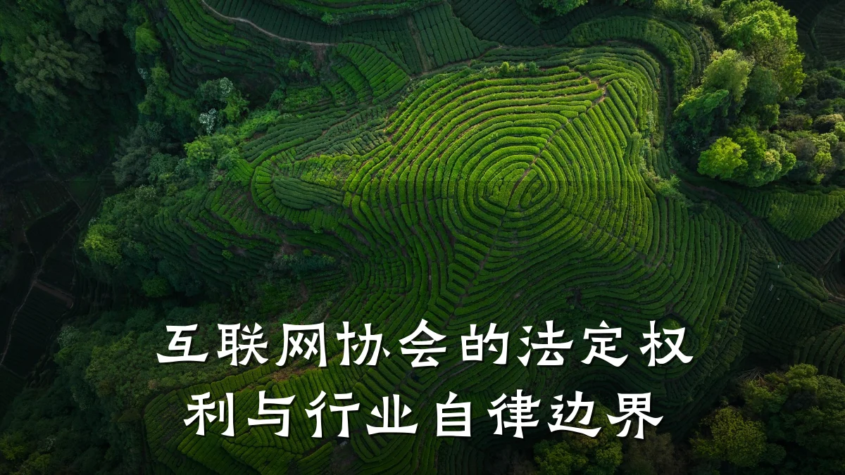 互联网协会的法定权利与行业自律边界