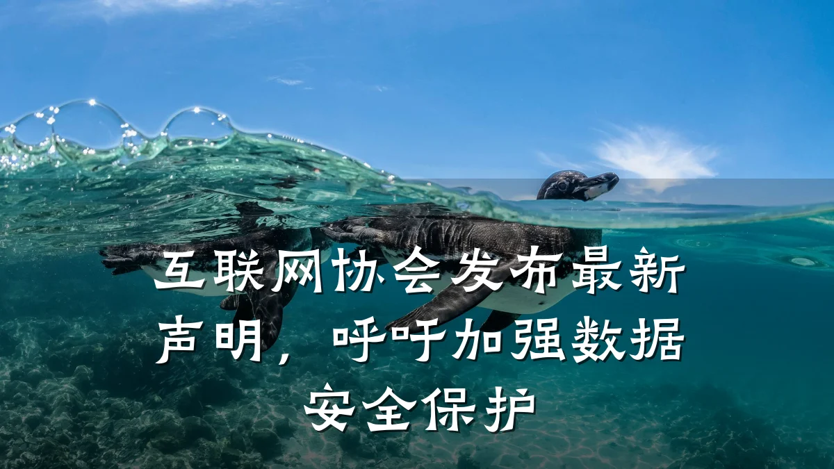 互联网协会发布最新声明,呼吁加强数据安全保护