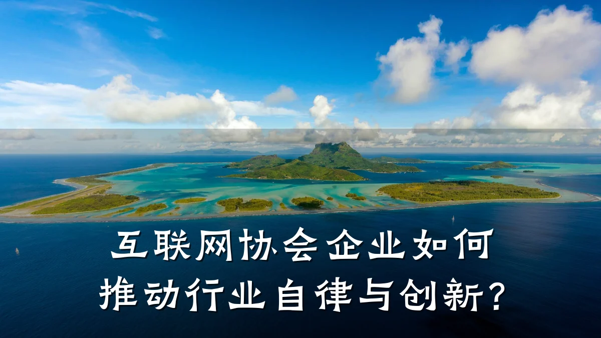 互联网协会企业如何推动行业自律与创新？