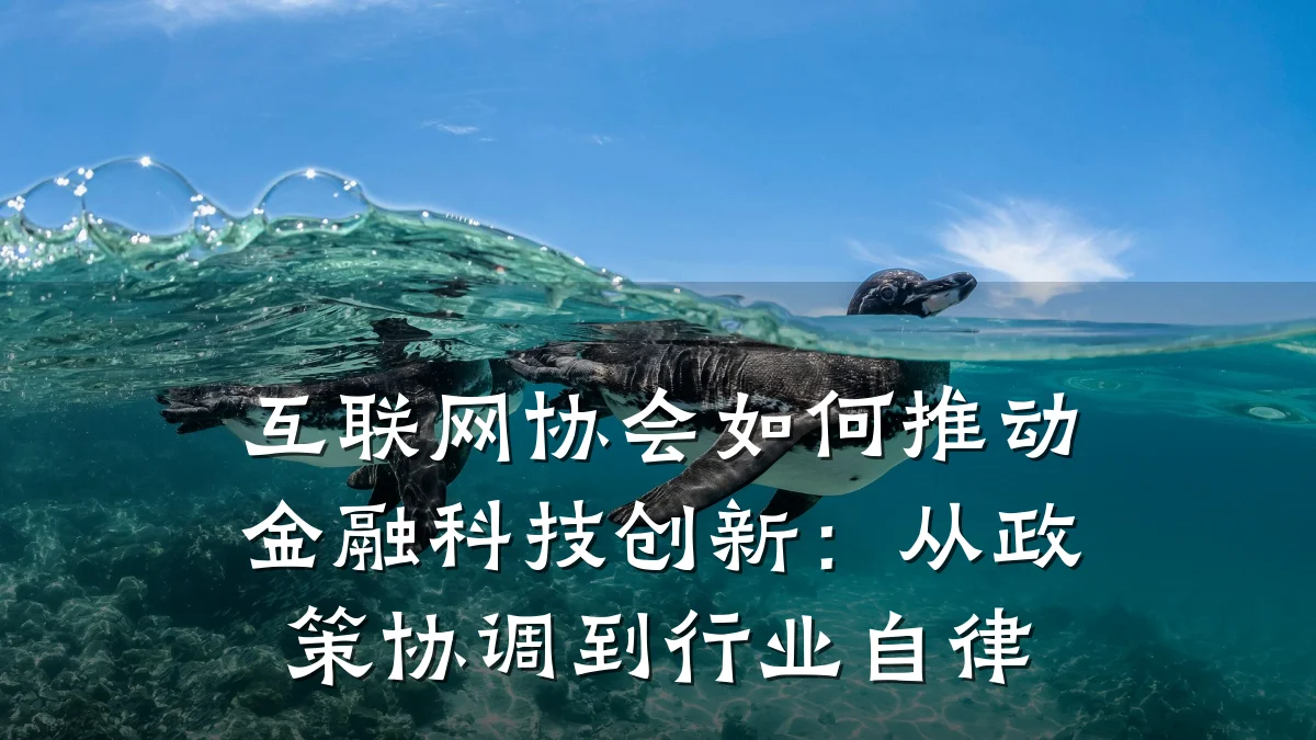互联网协会如何推动金融科技创新:从政策协调到行业自律