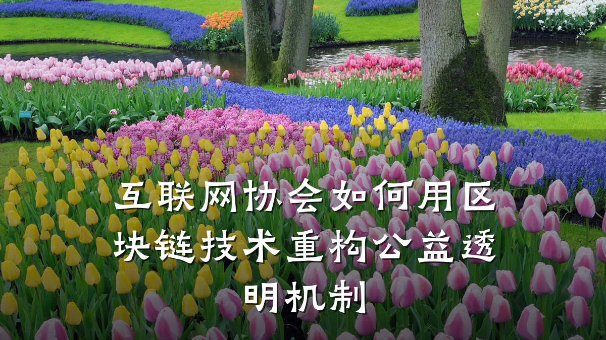 互联网协会如何用区块链技术重构公益透明机制
