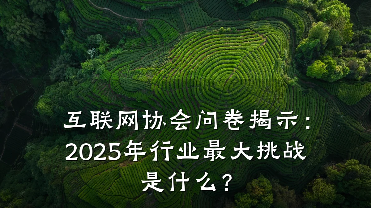 互联网协会问卷揭示:2025年行业最大挑战是什么?