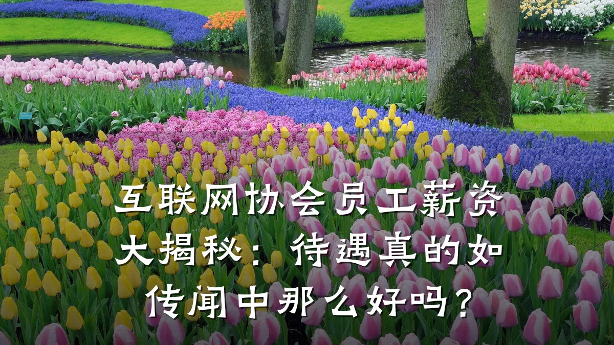 互联网协会员工薪资大揭秘：待遇真的如传闻中那么好吗？