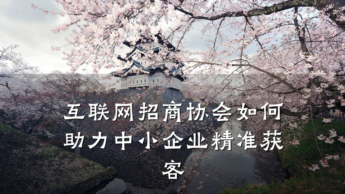 互联网招商协会如何助力中小企业精准获客