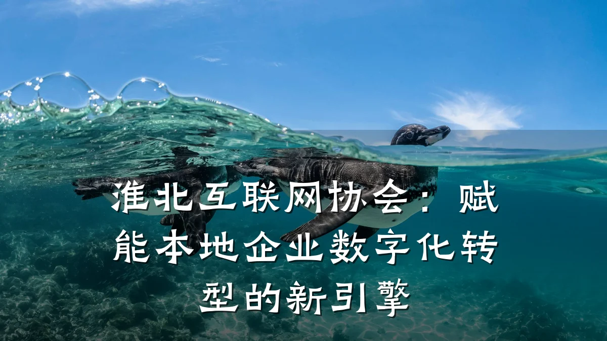 淮北互联网协会:赋能本地企业数字化转型的新引擎