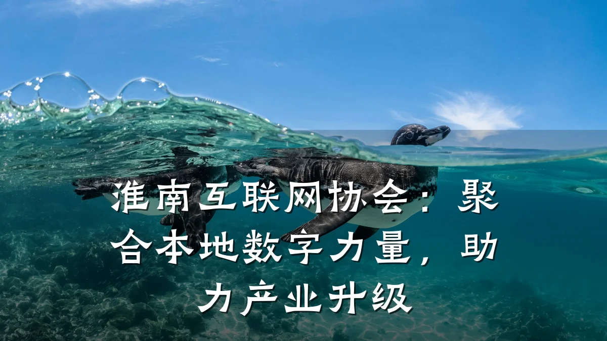 淮南互联网协会:聚合本地数字力量,助力产业升级