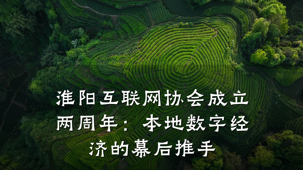 淮阳互联网协会成立两周年:本地数字经济的幕后推手