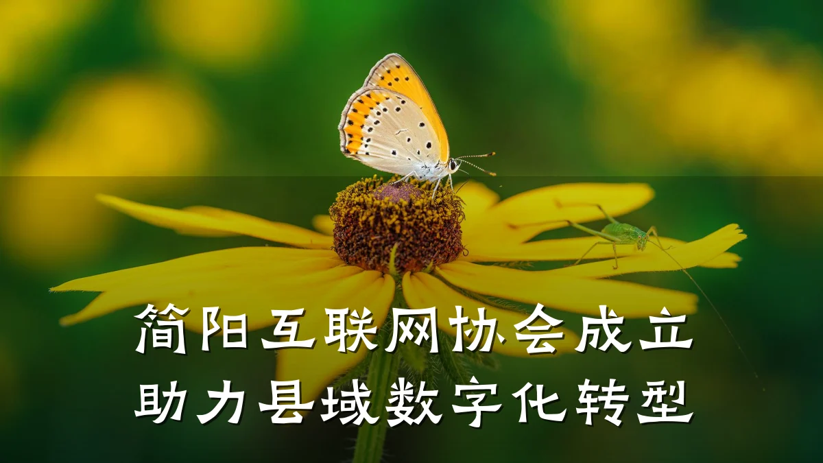 简阳互联网协会成立 助力县域数字化转型