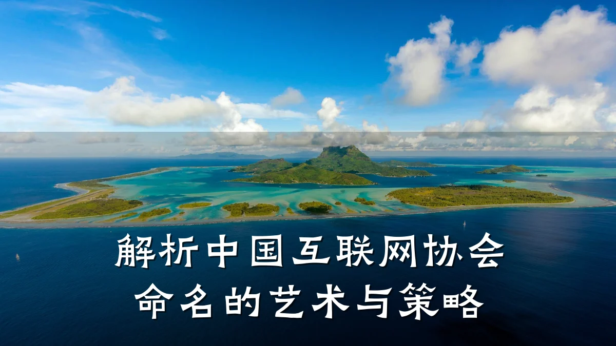 解析中国互联网协会命名的艺术与策略