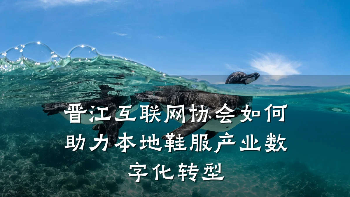 晋江互联网协会如何助力本地鞋服产业数字化转型