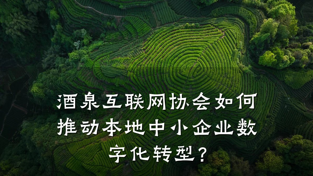 酒泉互联网协会如何推动本地中小企业数字化转型?