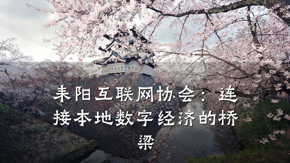 耒阳互联网协会:连接本地数字经济的桥梁