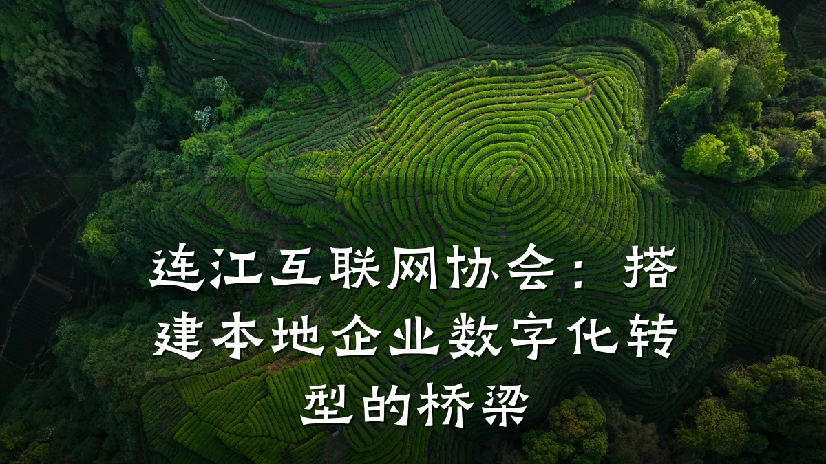 连江互联网协会：搭建本地企业数字化转型的桥梁