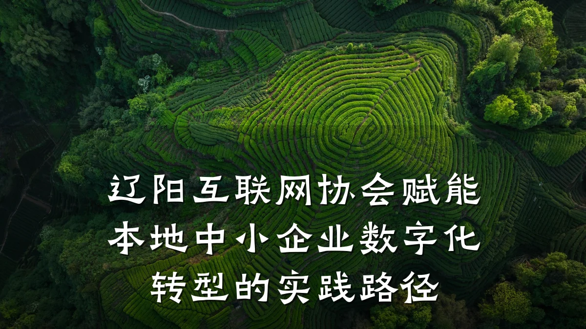 辽阳互联网协会赋能本地中小企业数字化转型的实践路径
