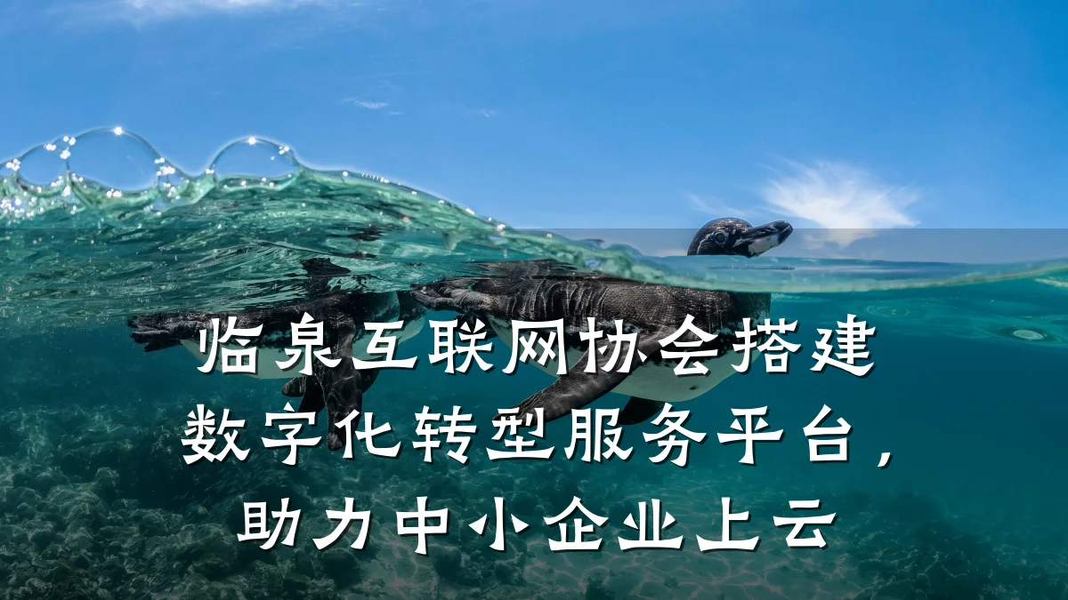 临泉互联网协会搭建数字化转型服务平台,助力中小企业上云