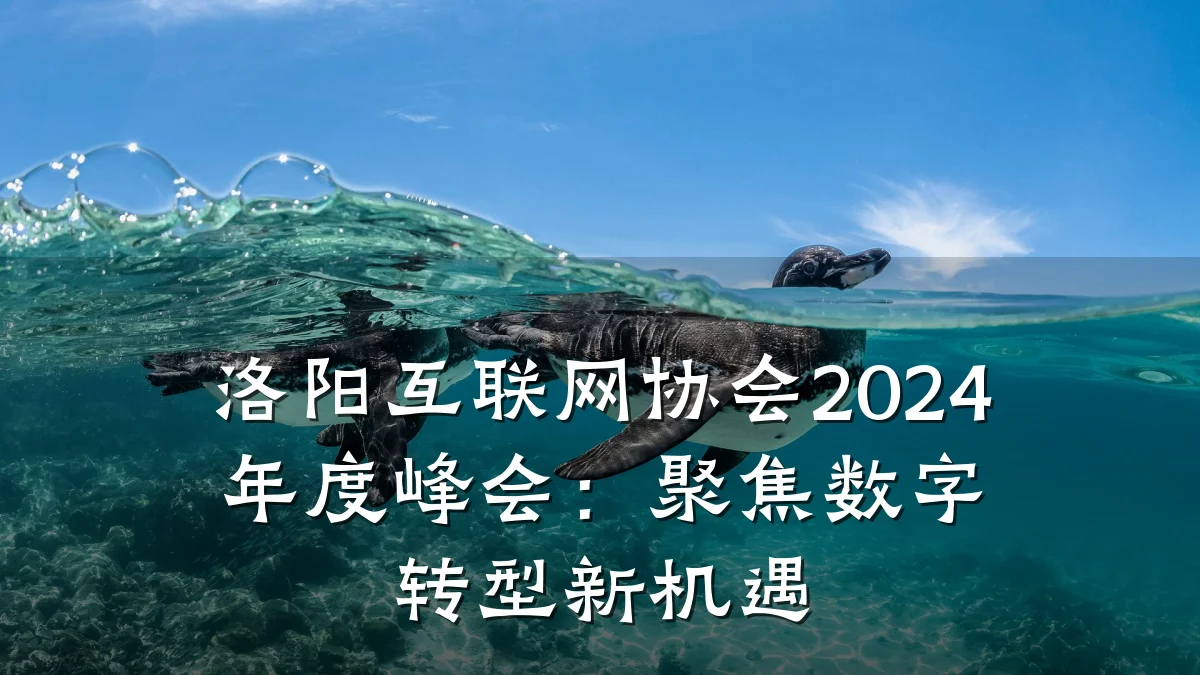 洛阳互联网协会2024年度峰会:聚焦数字转型新机遇