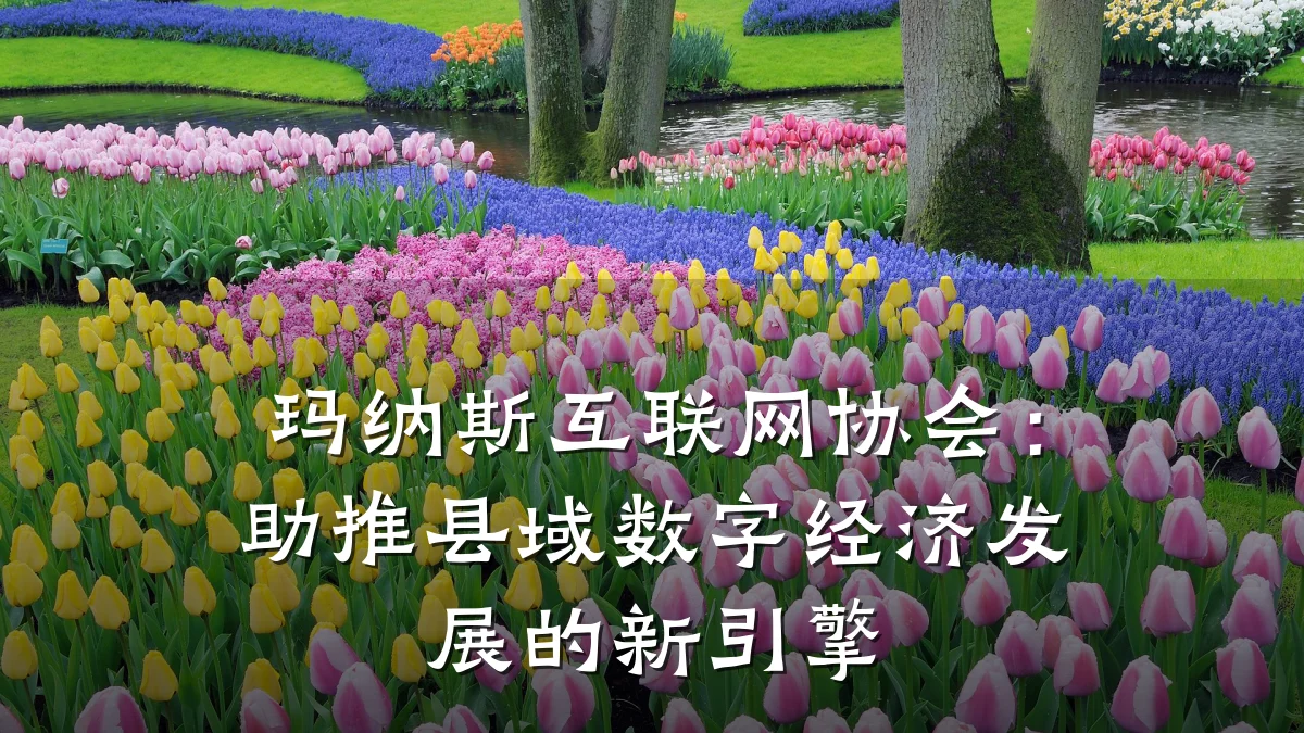玛纳斯互联网协会:助推县域数字经济发展的新引擎