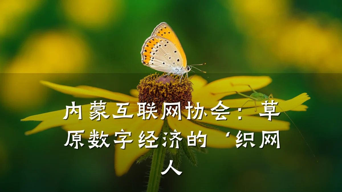 内蒙互联网协会:草原数字经济的‘织网人