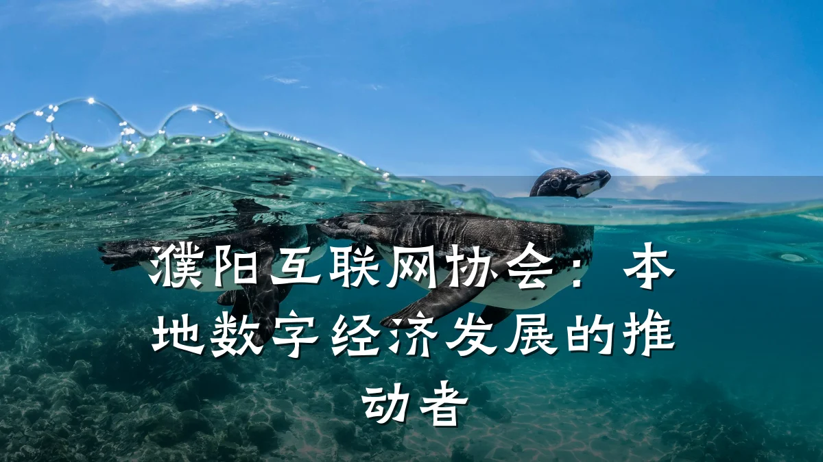 濮阳互联网协会:本地数字经济发展的推动者
