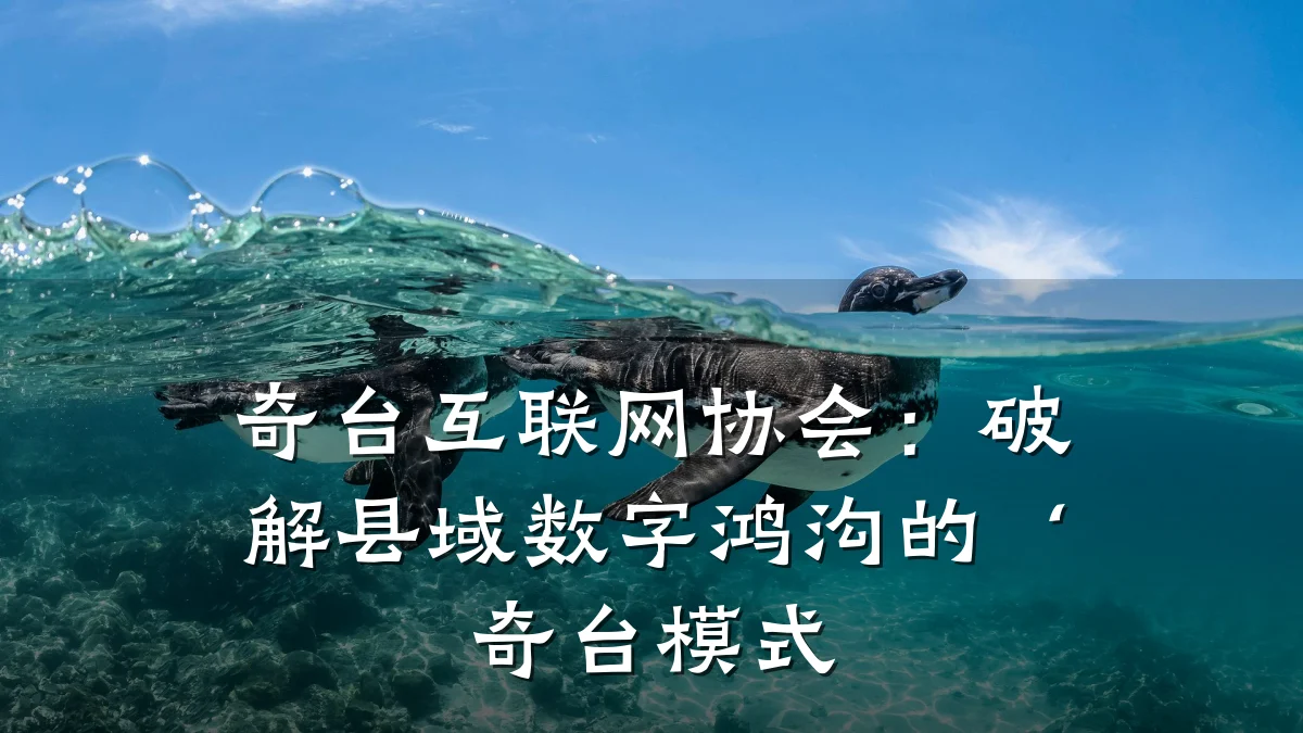 奇台互联网协会:破解县域数字鸿沟的‘奇台模式