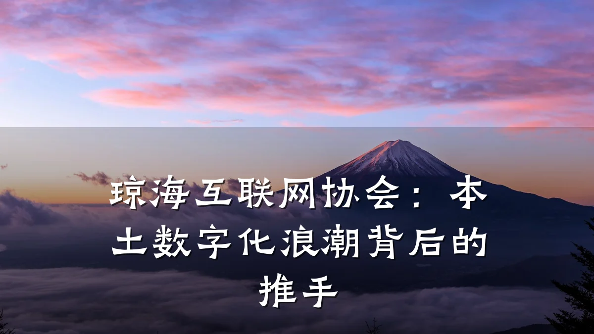 琼海互联网协会:本土数字化浪潮背后的推手