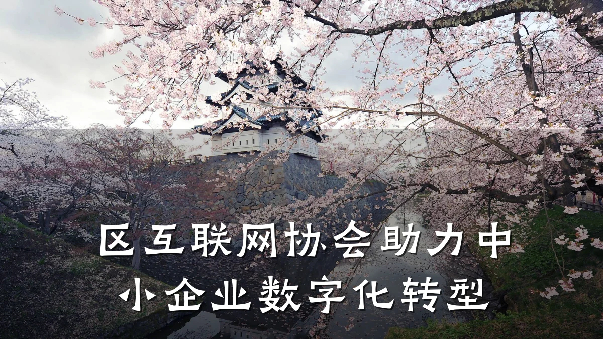 区互联网协会助力中小企业数字化转型