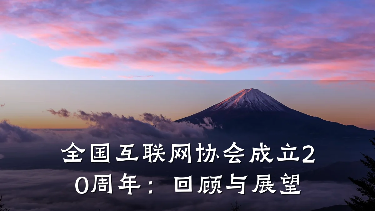 全国互联网协会成立20周年:回顾与展望