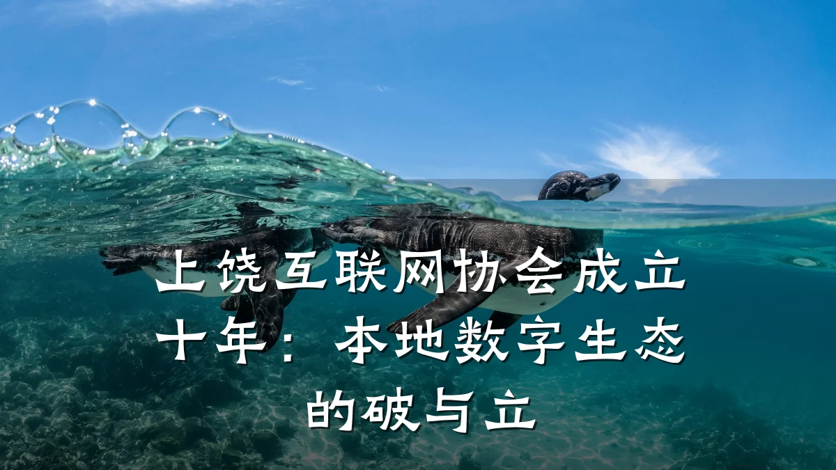 上饶互联网协会成立十年:本地数字生态的破与立