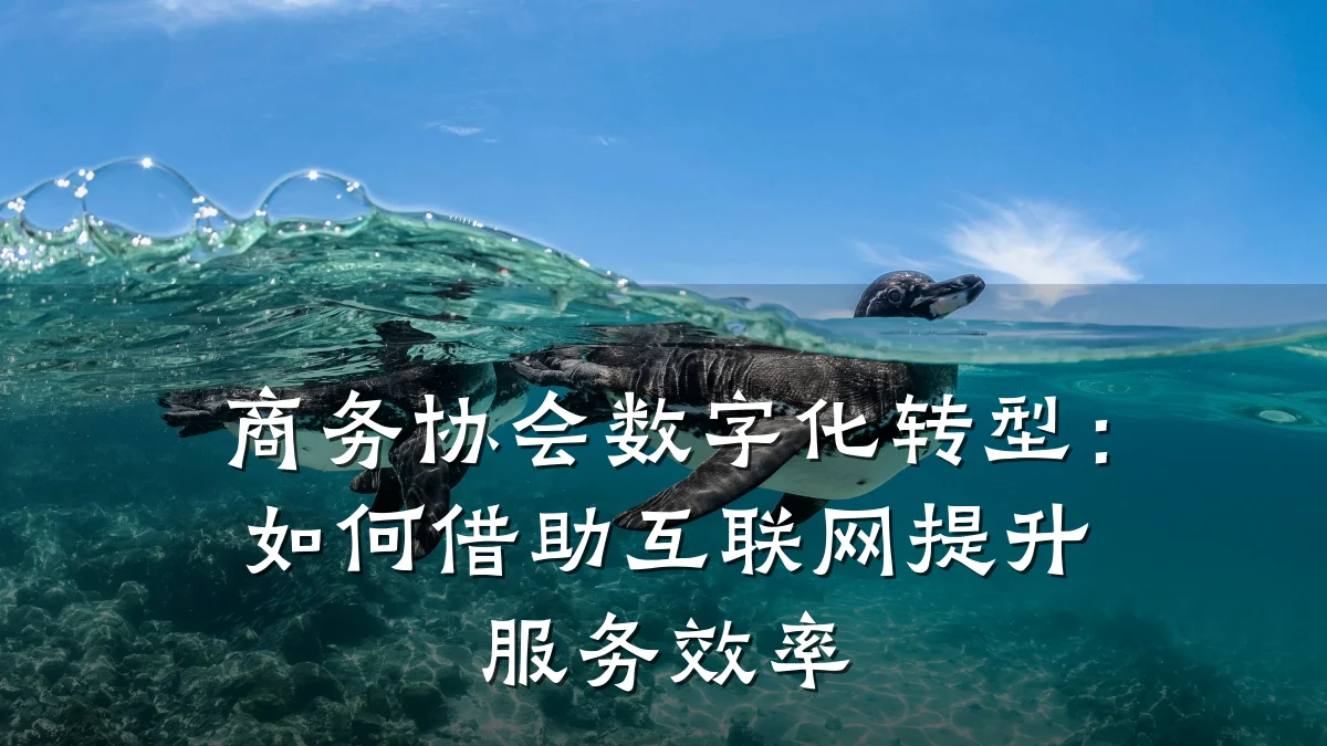 商务协会数字化转型:如何借助互联网提升服务效率