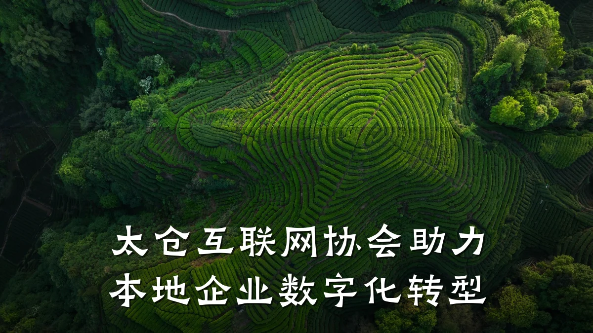 太仓互联网协会助力本地企业数字化转型