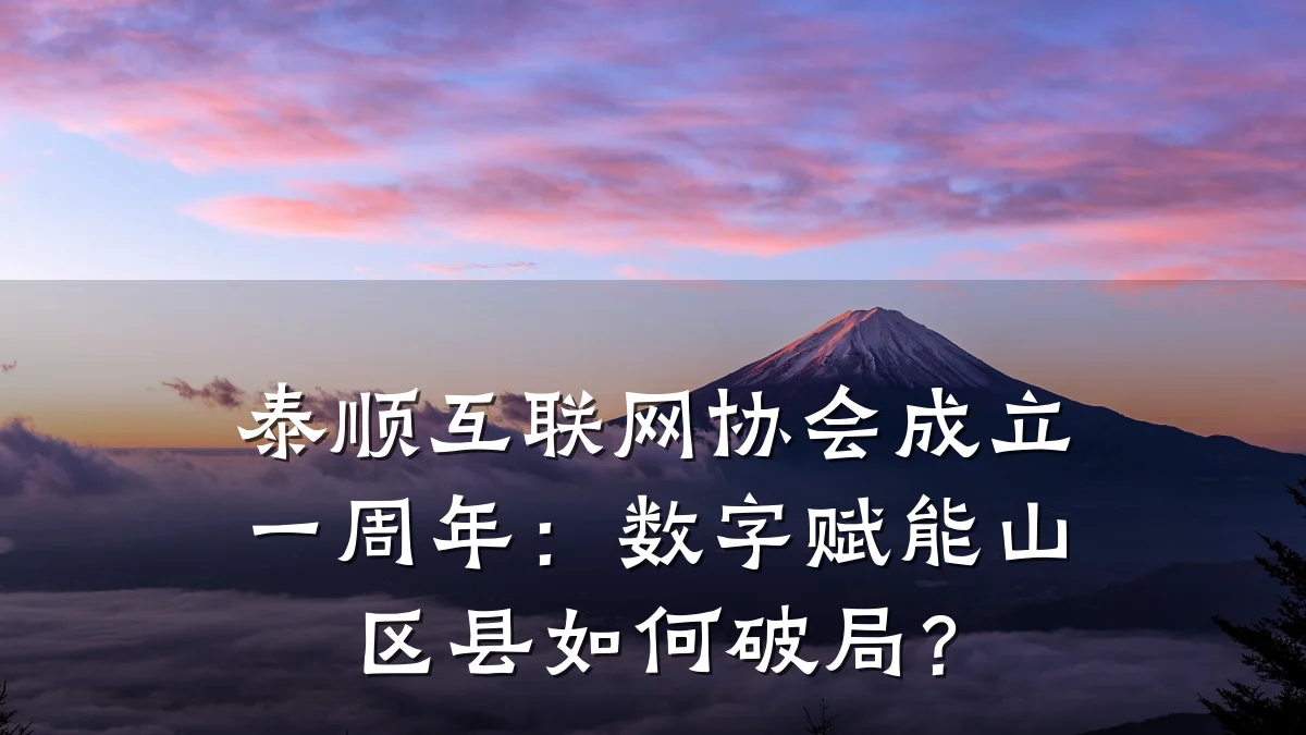 泰顺互联网协会成立一周年：数字赋能山区县如何破局？