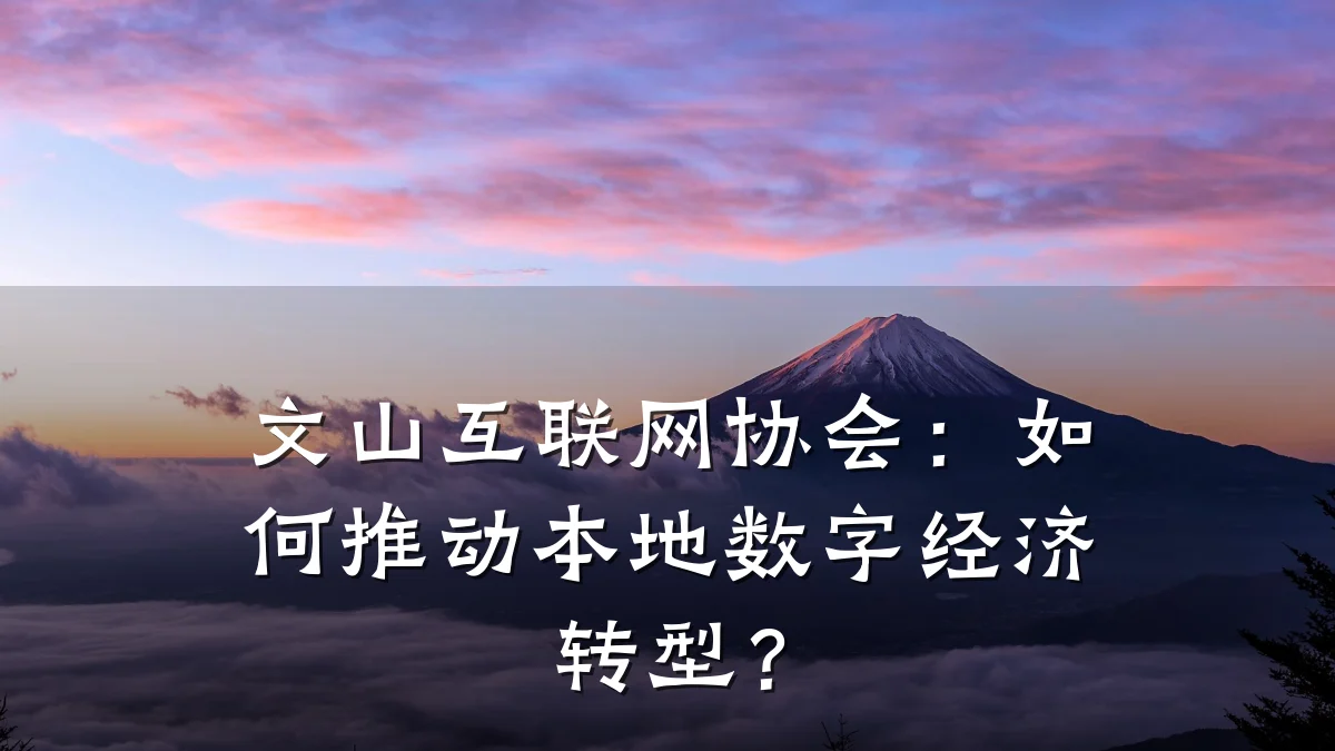 文山互联网协会:如何推动本地数字经济转型?