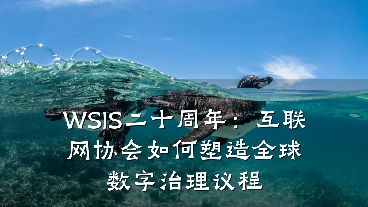WSIS二十周年:互联网协会如何塑造全球数字治理议程