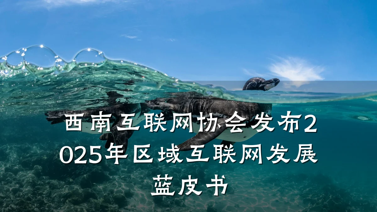 西南互联网协会发布2025年区域互联网发展蓝皮书