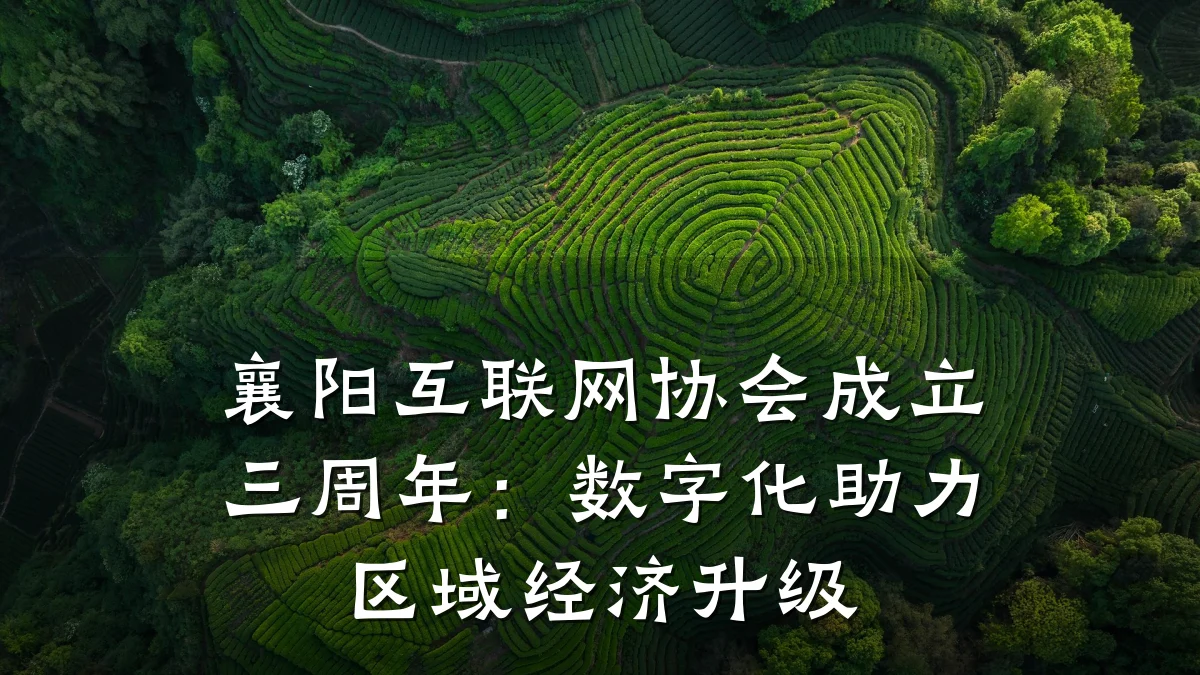 襄阳互联网协会成立三周年:数字化助力区域经济升级