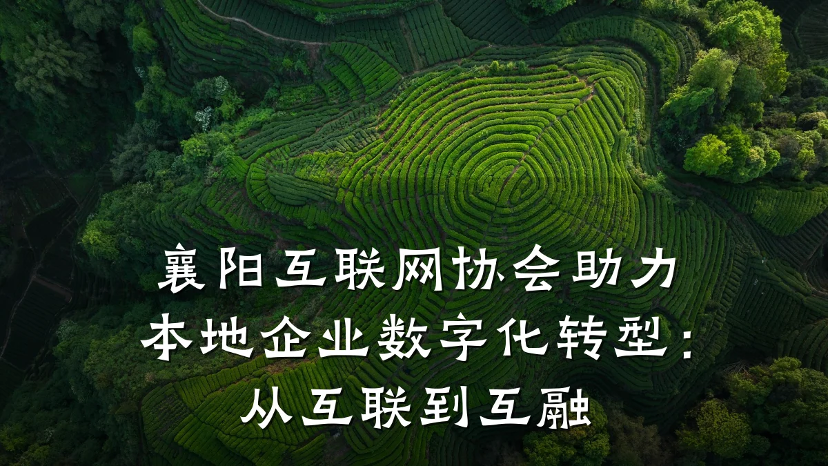襄阳互联网协会助力本地企业数字化转型：从互联到互融