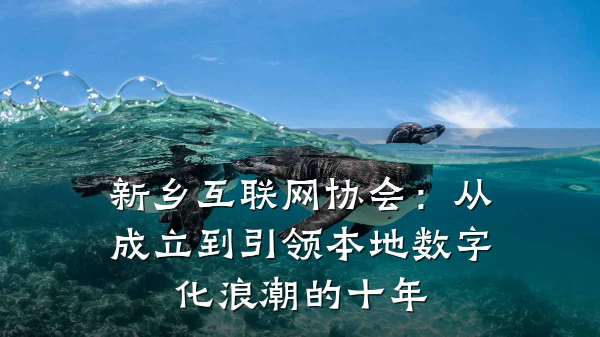 新乡互联网协会:从成立到引领本地数字化浪潮的十年