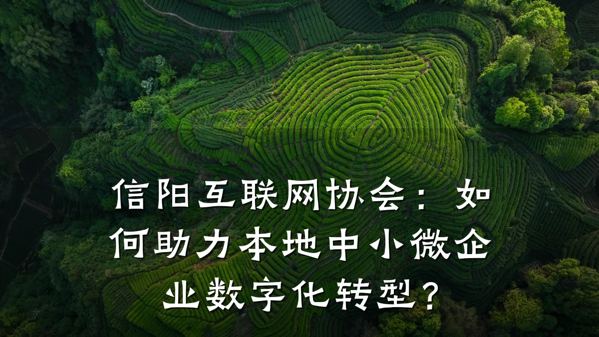 信阳互联网协会:如何助力本地中小微企业数字化转型?