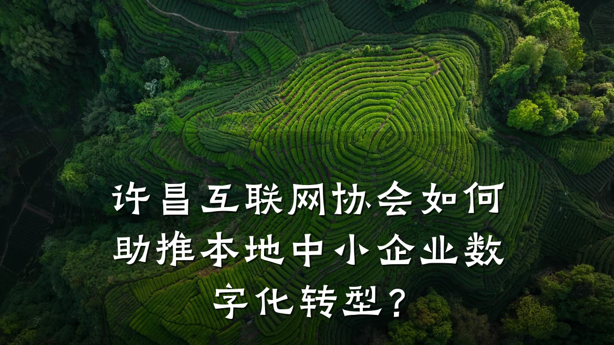 许昌互联网协会如何助推本地中小企业数字化转型?