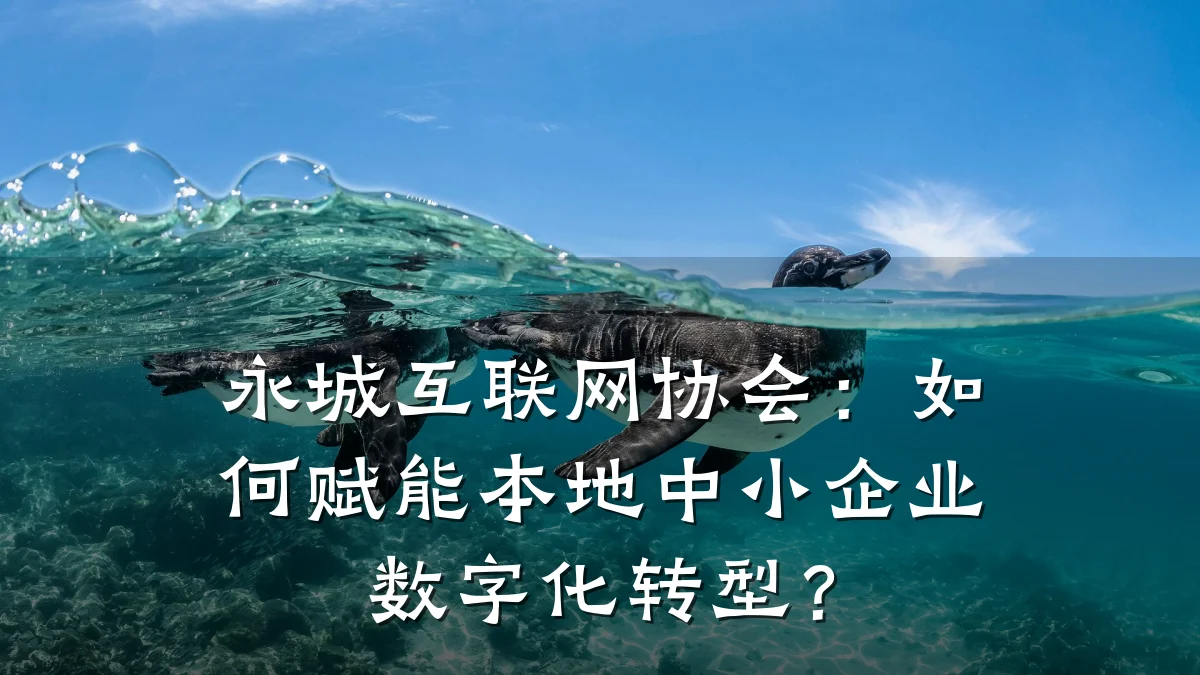 永城互联网协会:如何赋能本地中小企业数字化转型?