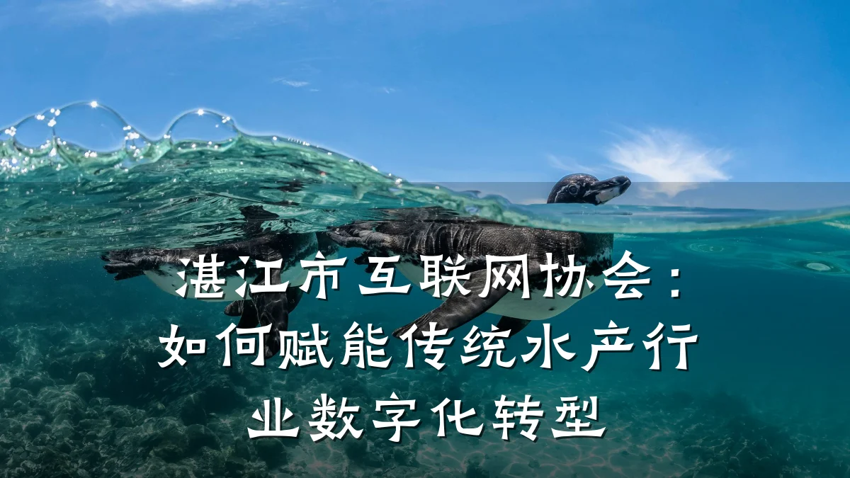 湛江市互联网协会:如何赋能传统水产行业数字化转型