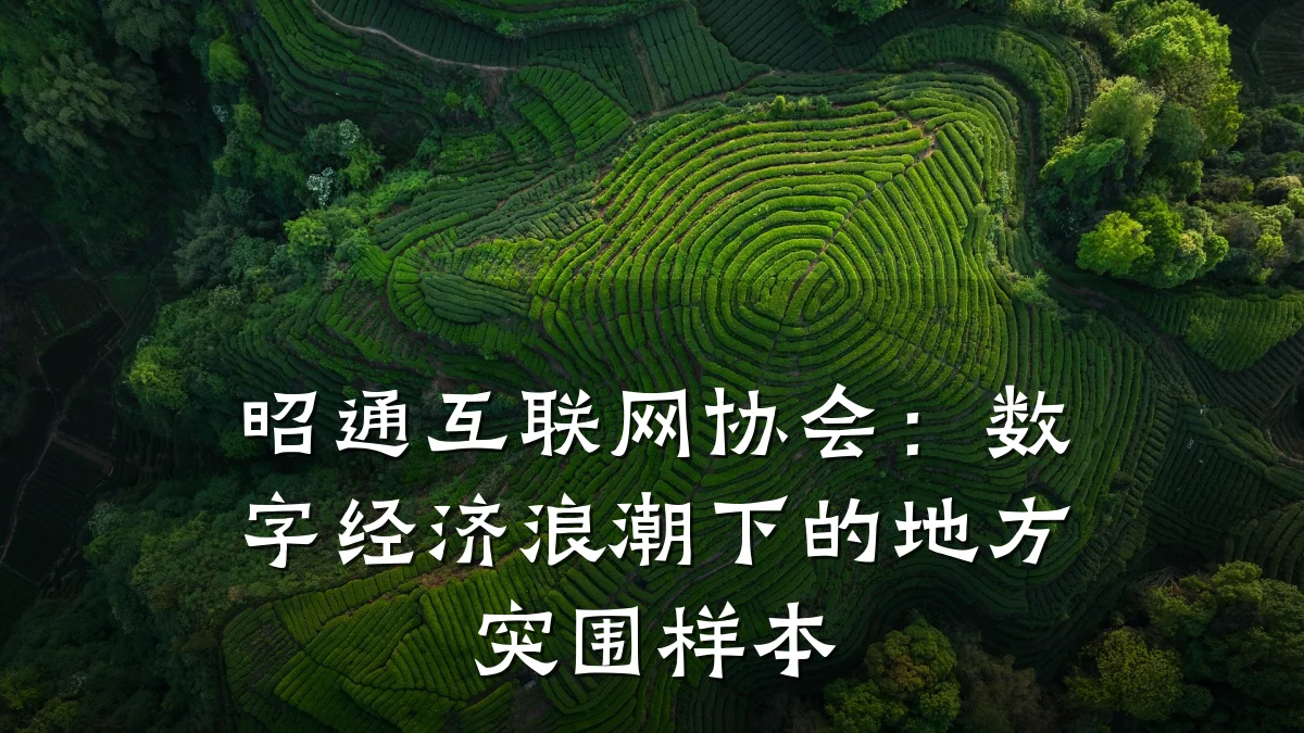 昭通互联网协会:数字经济浪潮下的地方突围样本